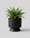 Studio Cylinder Planter